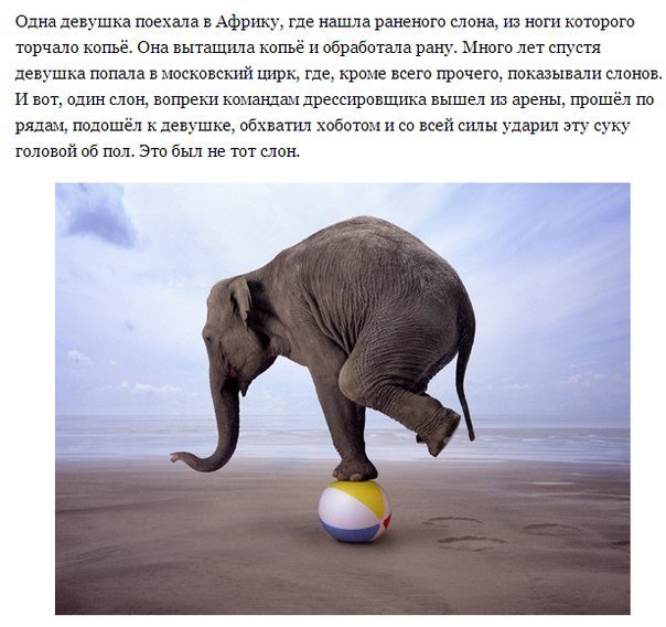 черный-юмор-удалённое-564257.jpeg
