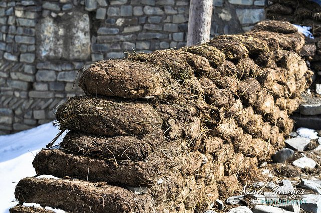 dung_construction_pile_.jpg__1600x900_q85_crop_subsampling-2.jpg