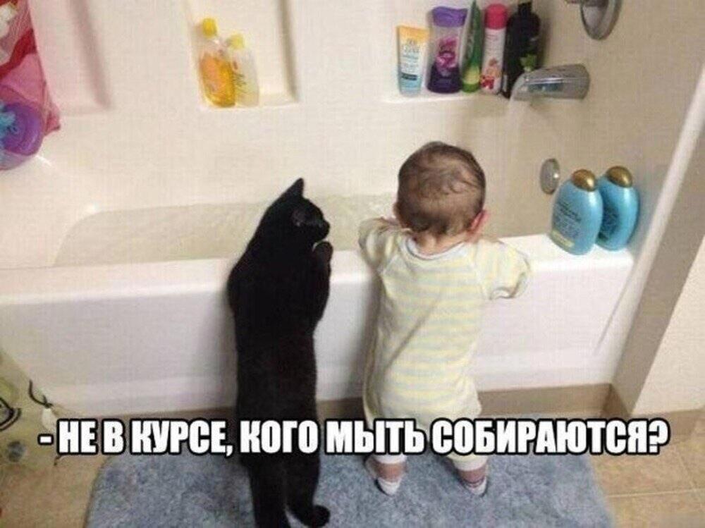 f931f5ceb06345e4b400b3162ca779fe.jpg