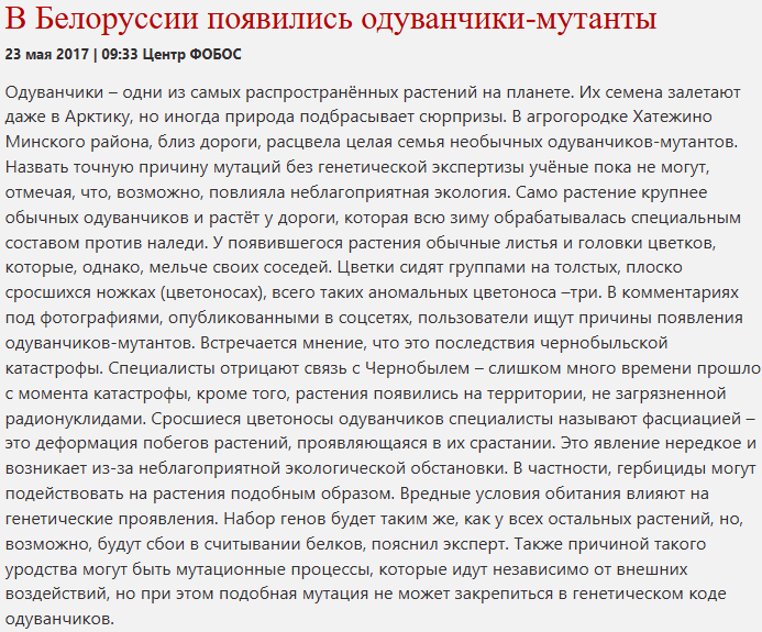 изображение_2026-05-07_171151353.png
