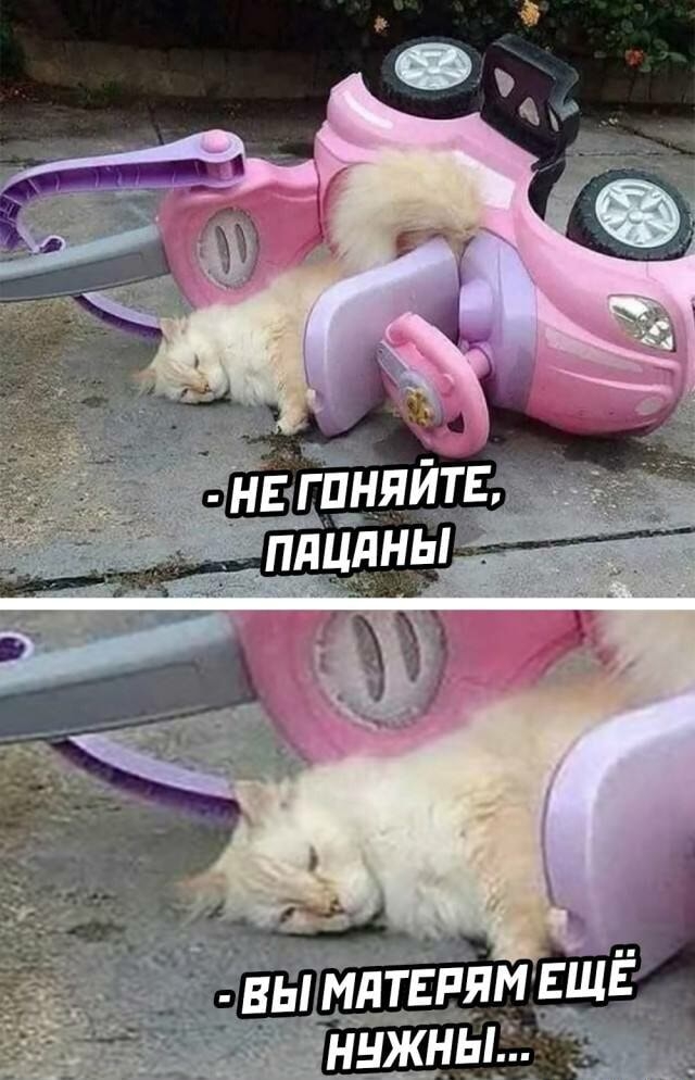 nLkfx_OQV8RWi-Y0l8vfNDtTfow.jpg